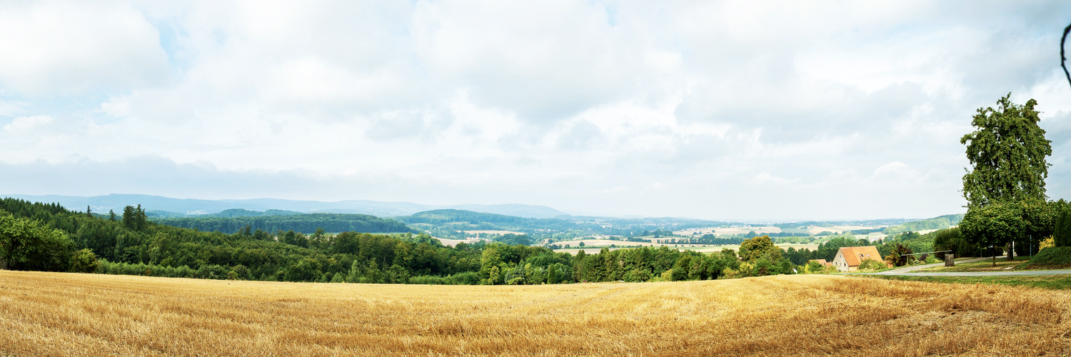 Ländliche Landschaft mit Getreidefeld